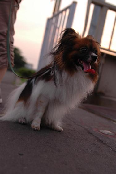 20060702-3.JPG