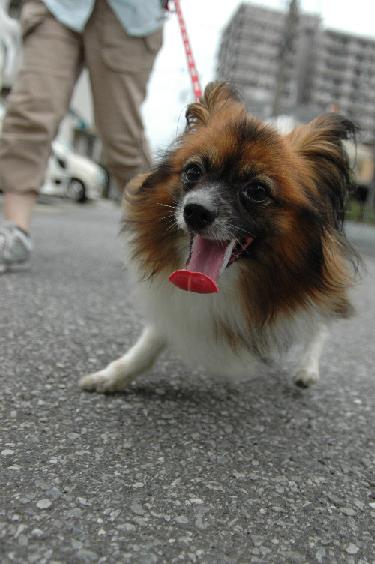 20060709-2.JPG