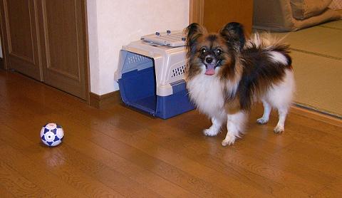20060718-1.JPG