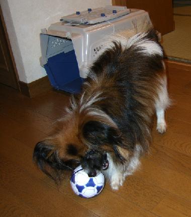20060718-2.JPG
