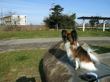20061231.JPG