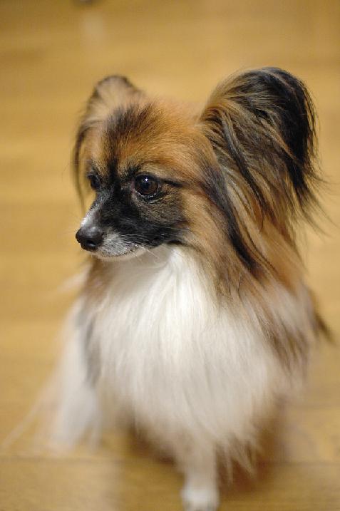 20070103.JPG