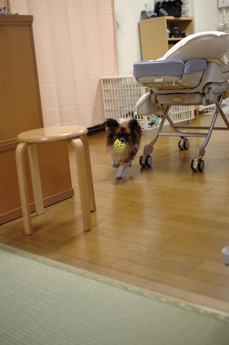 20070110-2.JPG